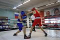 Во Владивостоке разыграли путевки на первенство Дальнего Востока по боксу