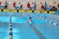 Сборная России по плаванию проведет подготовку во Владивостоке перед Олимпиадой