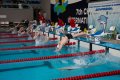 Более 500 пловцов приняли участие в краевых детских соревнованиях «Дельфиненок»