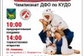 Зрелищные бои сильнейших кудоистов Дальнего Востока пройдут 4 февраля во Владивостоке